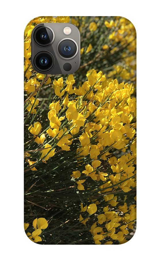 Spanish Broom - Phone Case