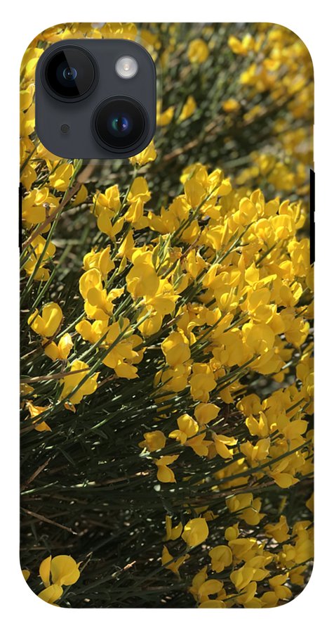 Spanish Broom - Phone Case