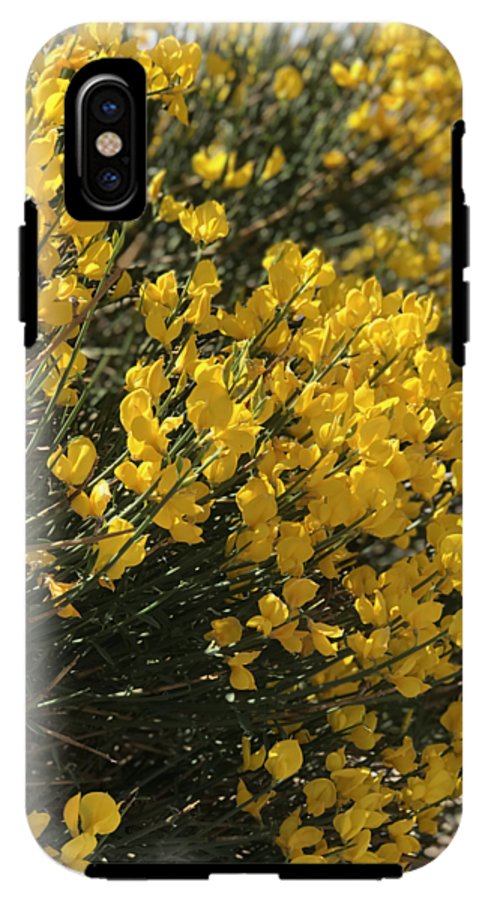 Spanish Broom - Phone Case