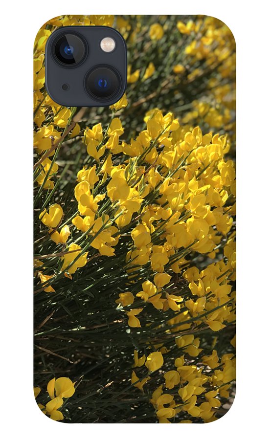 Spanish Broom - Phone Case