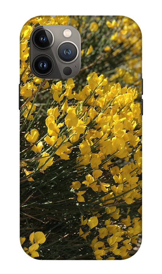 Spanish Broom - Phone Case