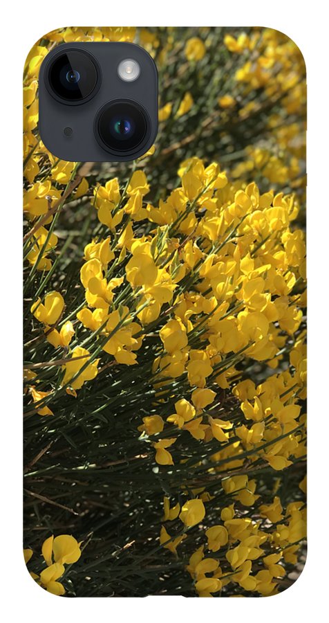 Spanish Broom - Phone Case