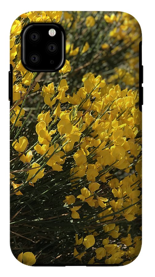 Spanish Broom - Phone Case