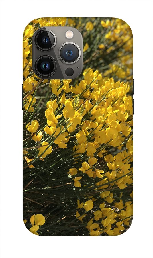 Spanish Broom - Phone Case