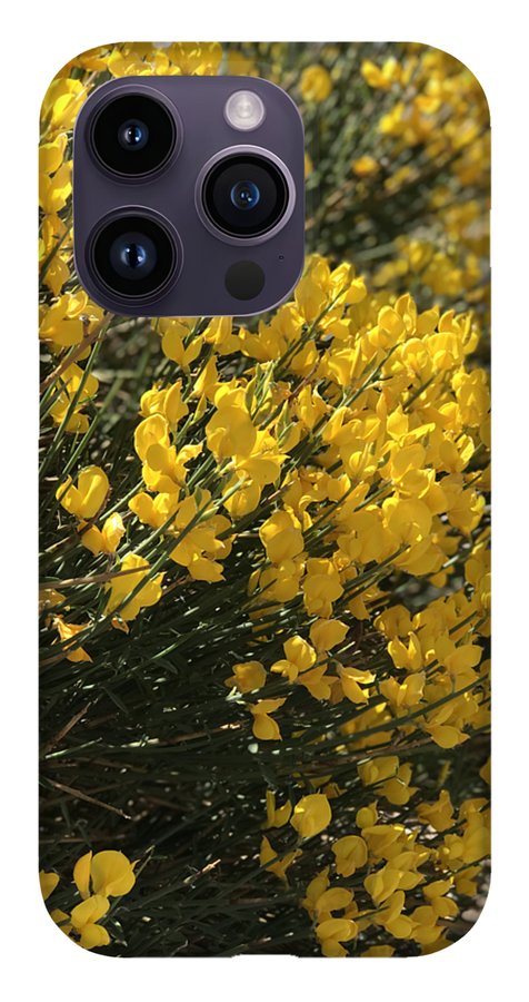 Spanish Broom - Phone Case