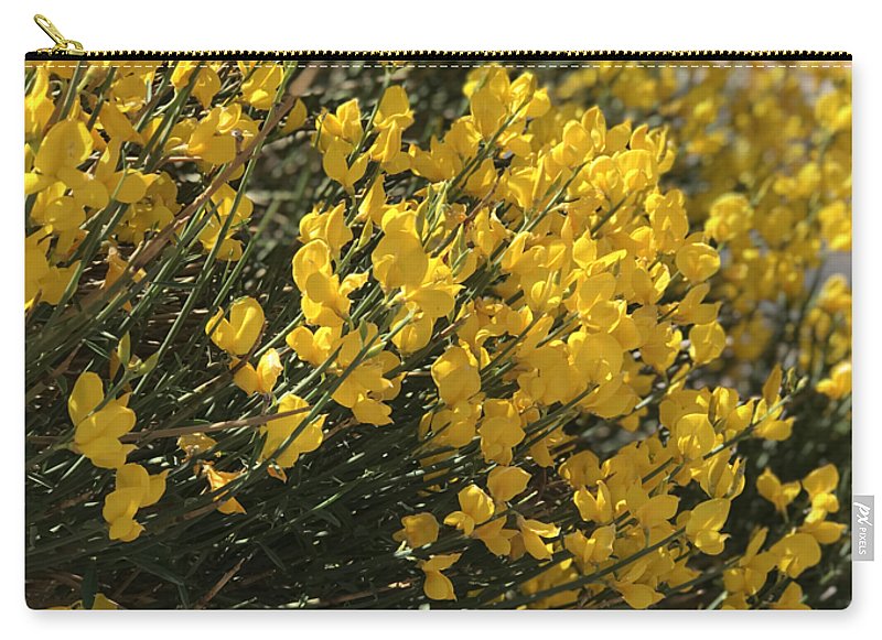 Spanish Broom - Zip Pouch