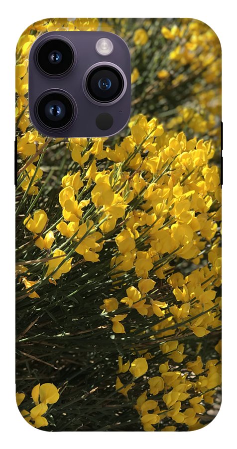 Spanish Broom - Phone Case