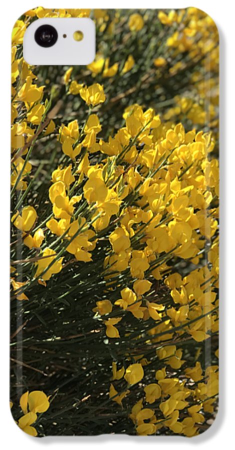 Spanish Broom - Phone Case