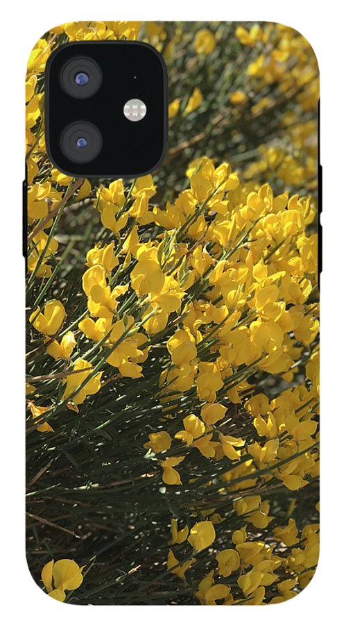 Spanish Broom - Phone Case