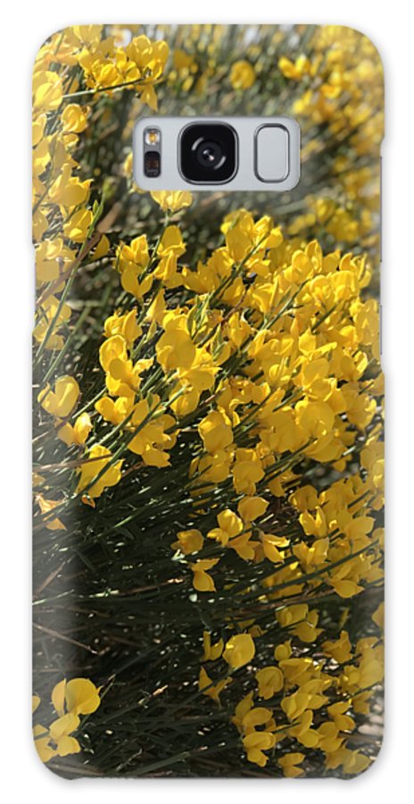 Spanish Broom - Phone Case