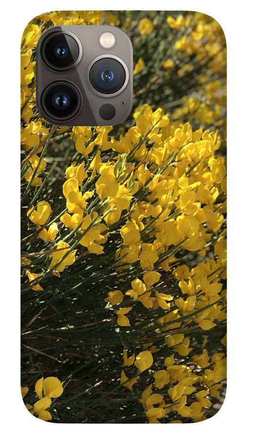 Spanish Broom - Phone Case