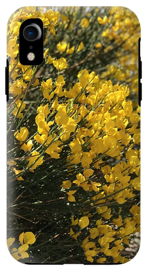 Spanish Broom - Phone Case