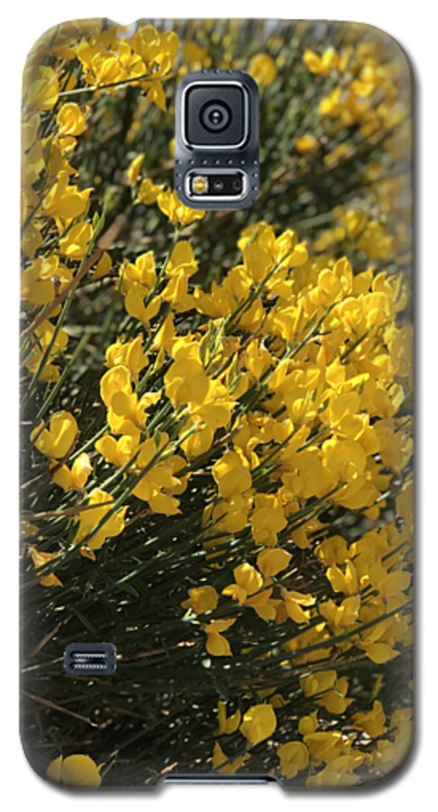 Spanish Broom - Phone Case