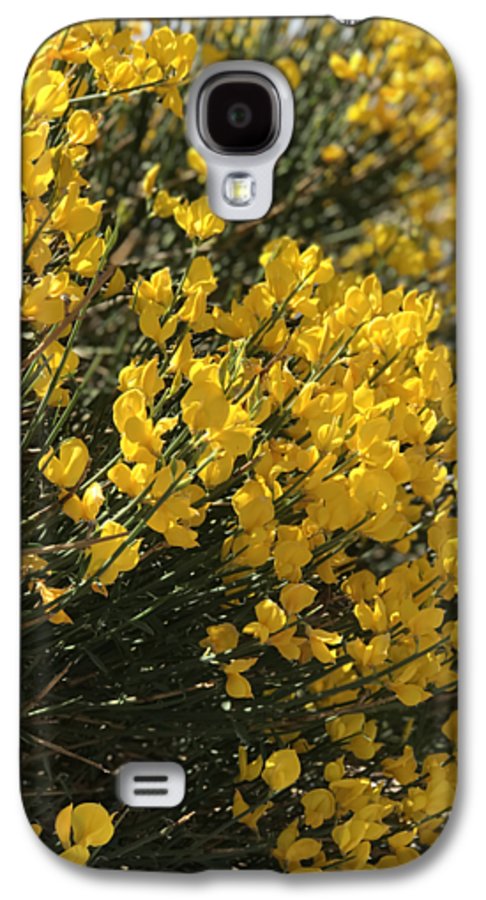 Spanish Broom - Phone Case