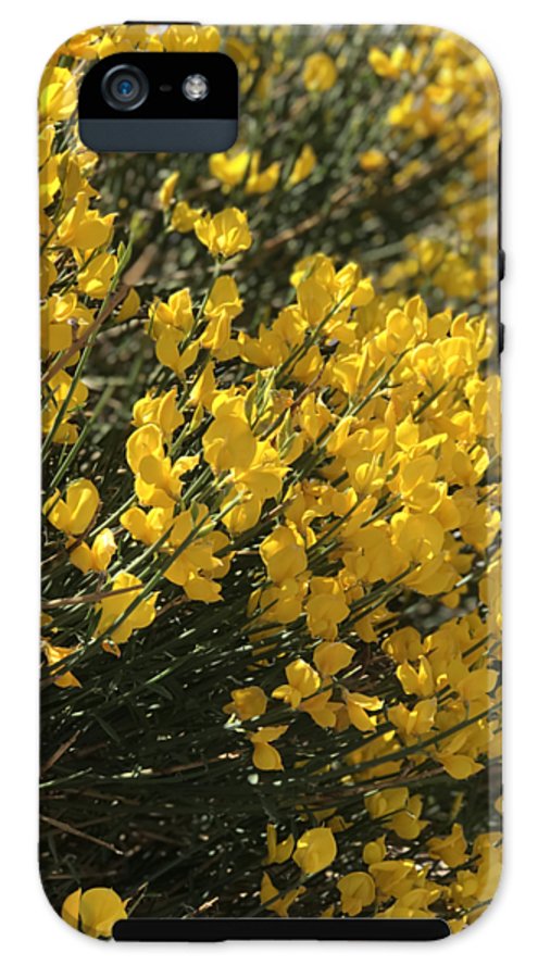 Spanish Broom - Phone Case