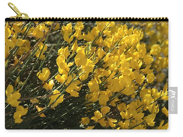 Spanish Broom - Zip Pouch