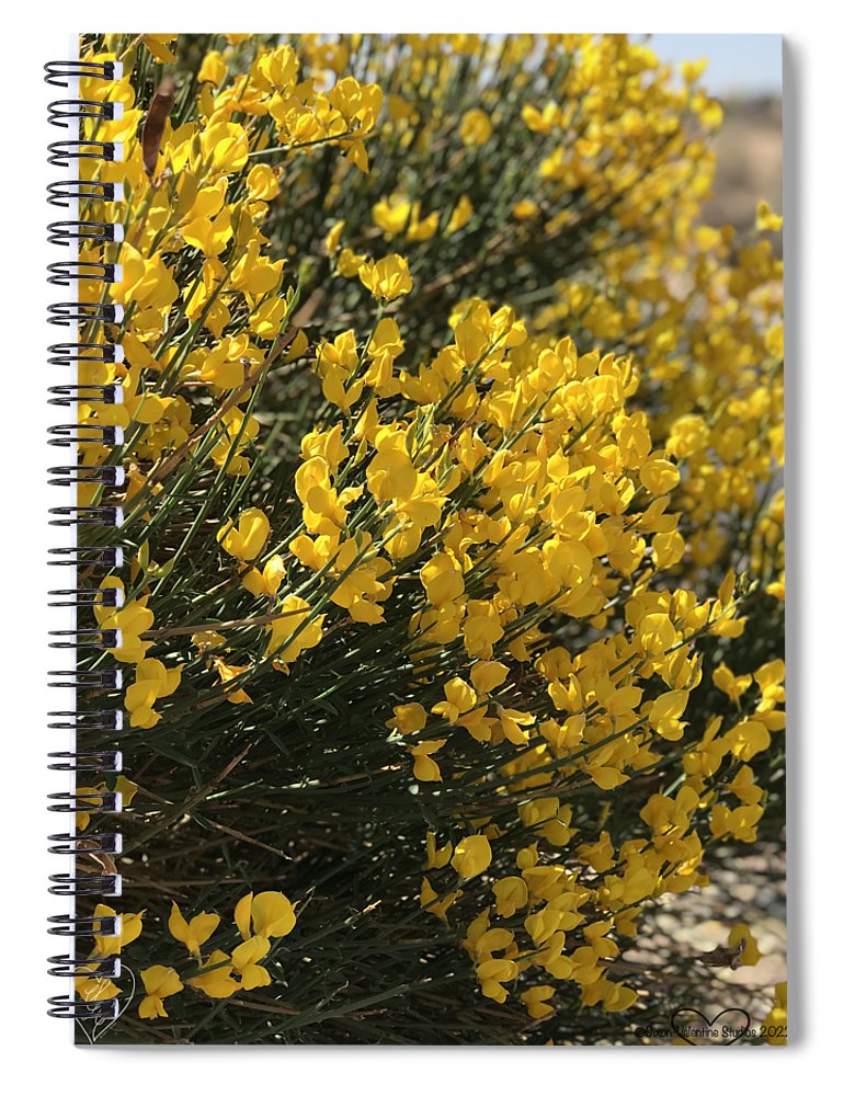 Spanish Broom - Spiral Notebook