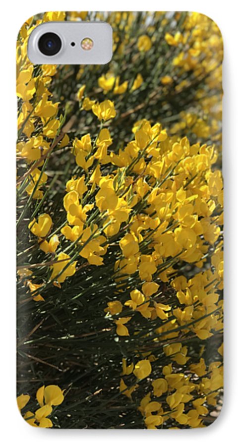 Spanish Broom - Phone Case