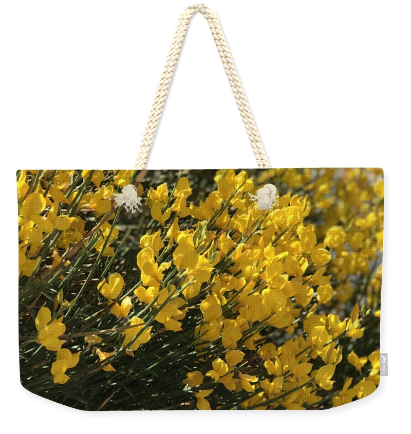 Spanish Broom - Weekender Tote Bag