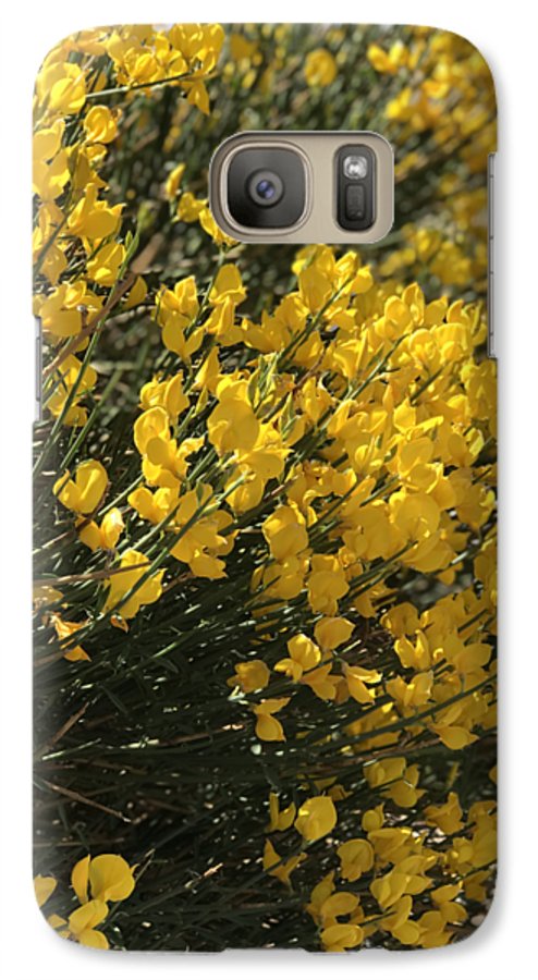 Spanish Broom - Phone Case