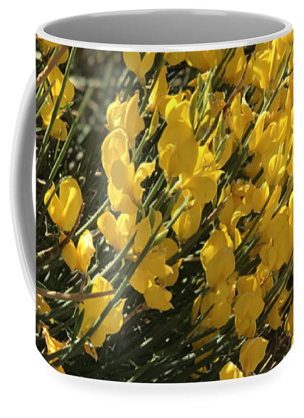 Spanish Broom - Mug