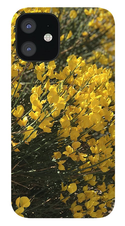 Spanish Broom - Phone Case