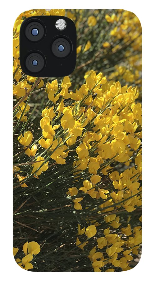 Spanish Broom - Phone Case