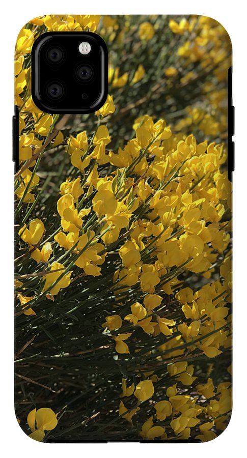 Spanish Broom - Phone Case