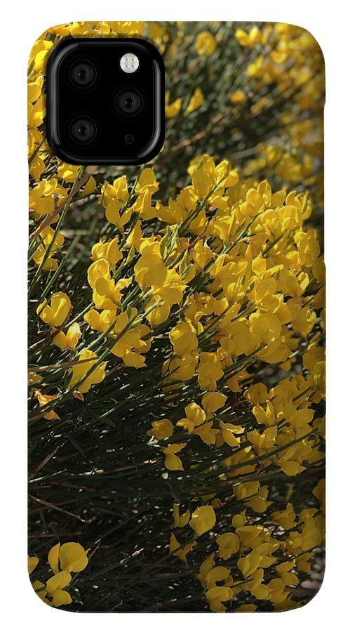 Spanish Broom - Phone Case