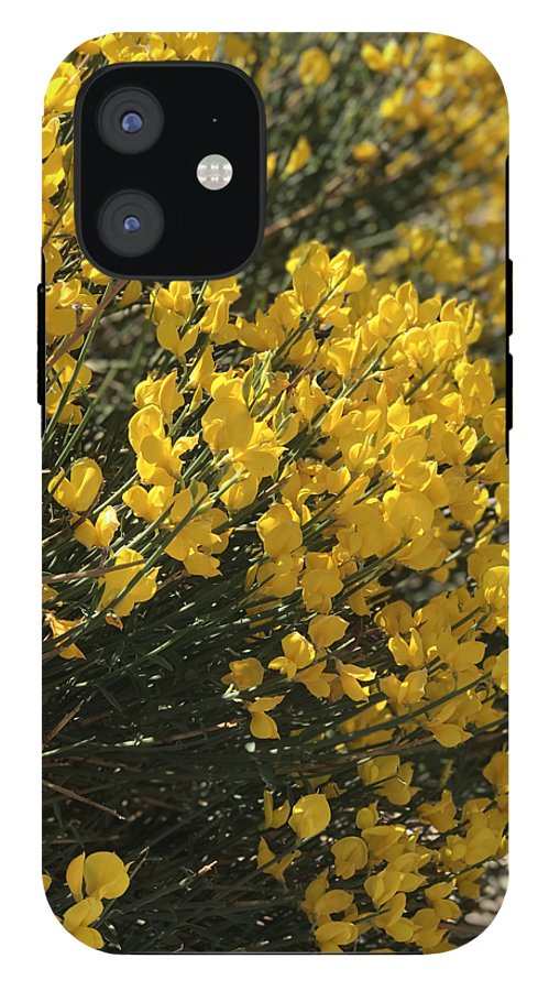 Spanish Broom - Phone Case