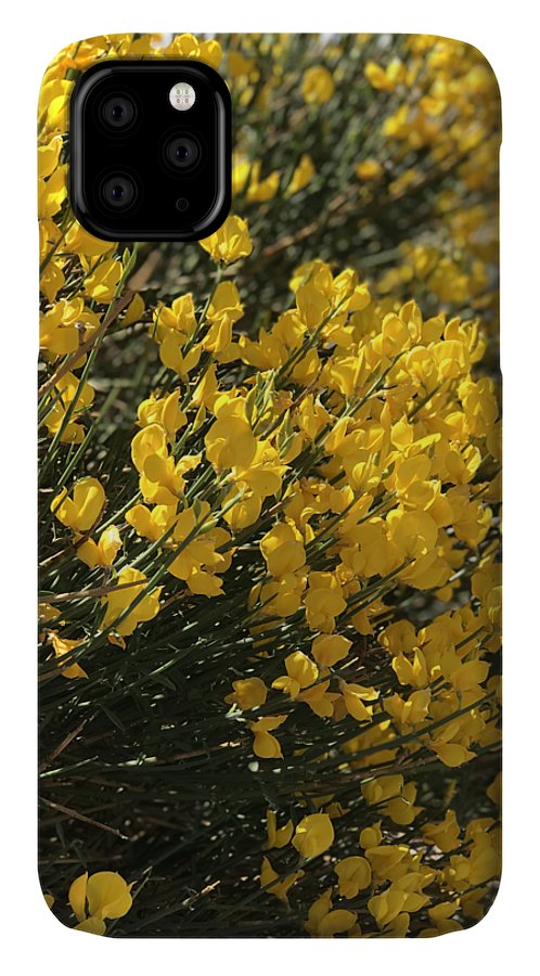 Spanish Broom - Phone Case