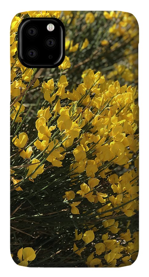 Spanish Broom - Phone Case