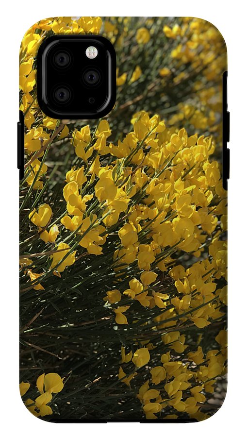 Spanish Broom - Phone Case