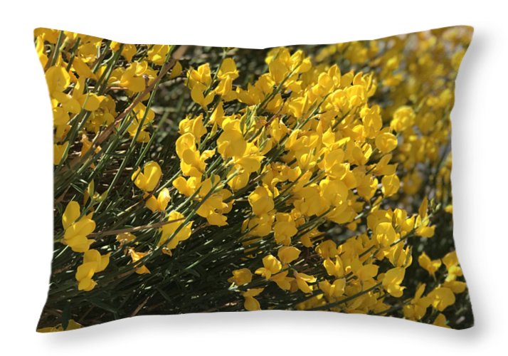 Spanish Broom - Throw Pillow