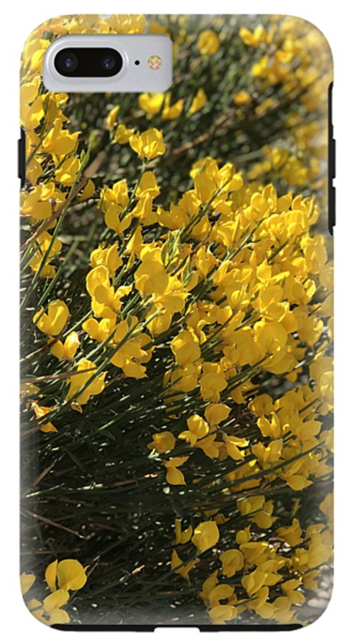 Spanish Broom - Phone Case