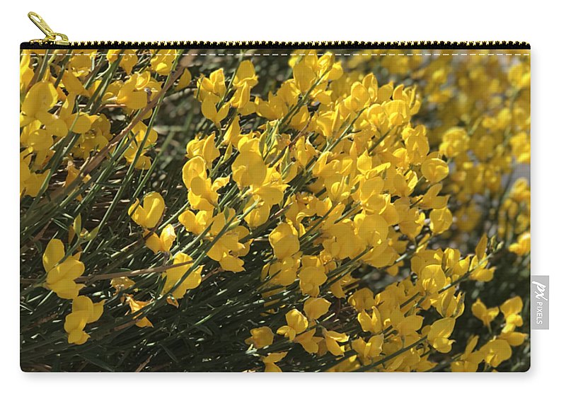 Spanish Broom - Zip Pouch