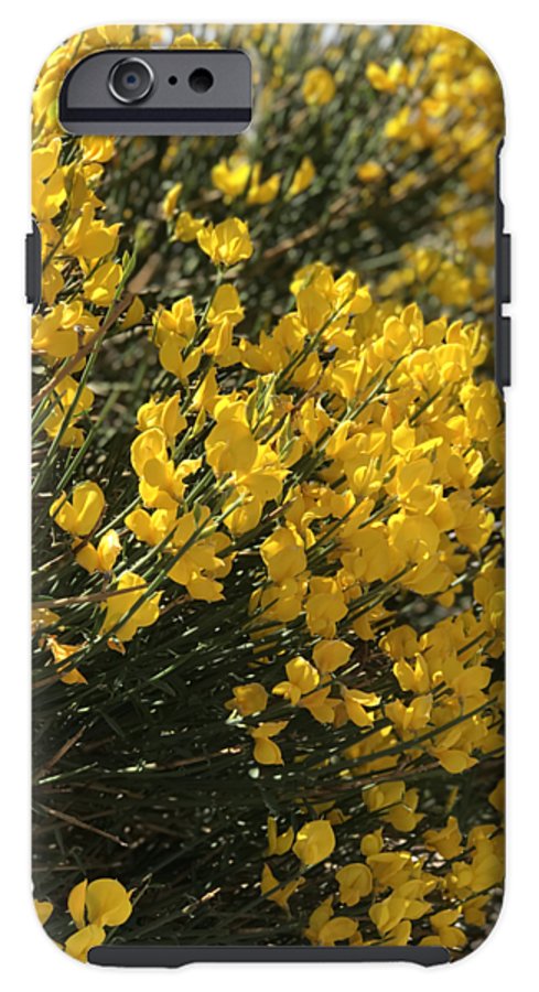 Spanish Broom - Phone Case