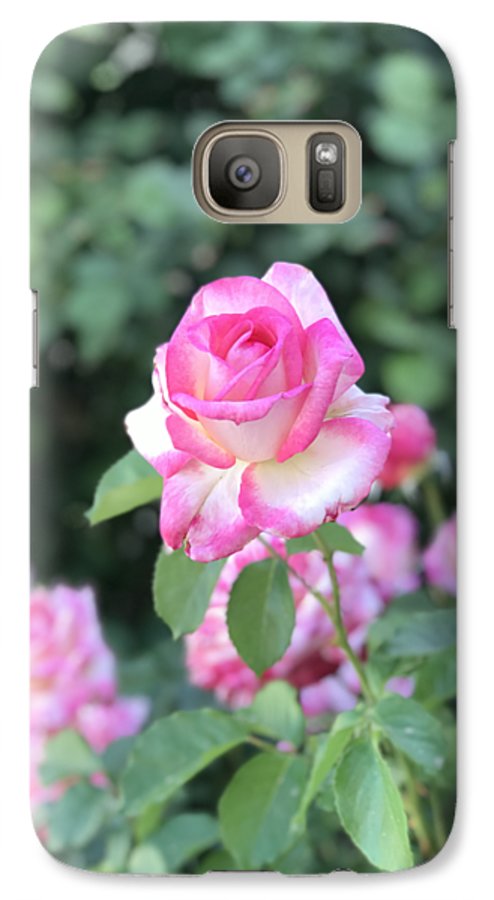 Touch of Pink - Phone Case