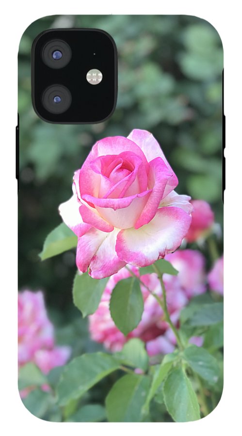 Touch of Pink - Phone Case