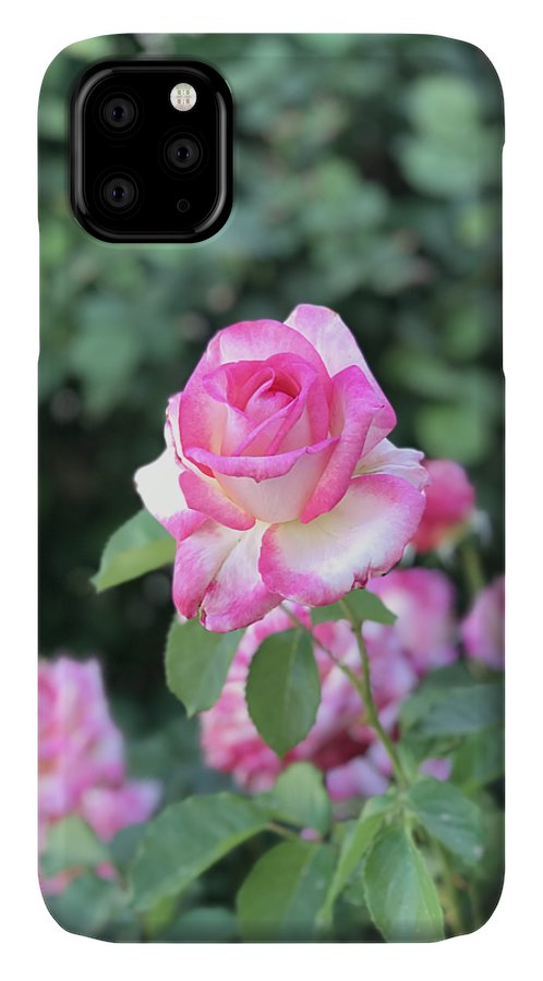 Touch of Pink - Phone Case