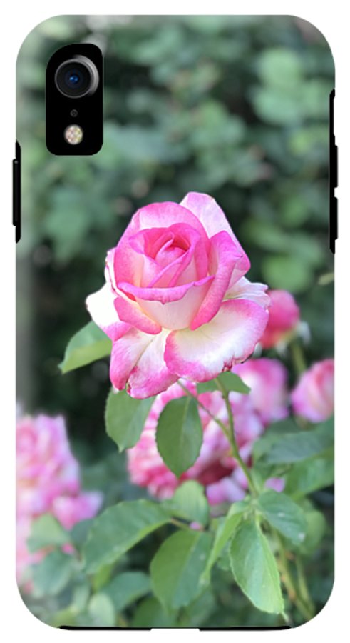 Touch of Pink - Phone Case