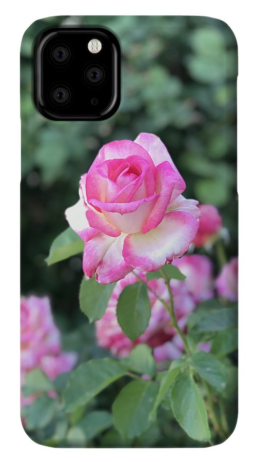 Touch of Pink - Phone Case