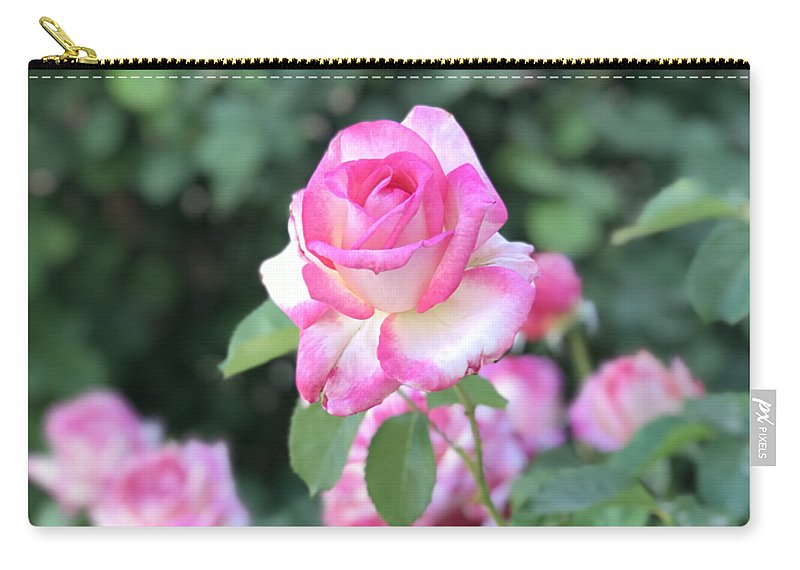 Touch of Pink - Zip Pouch