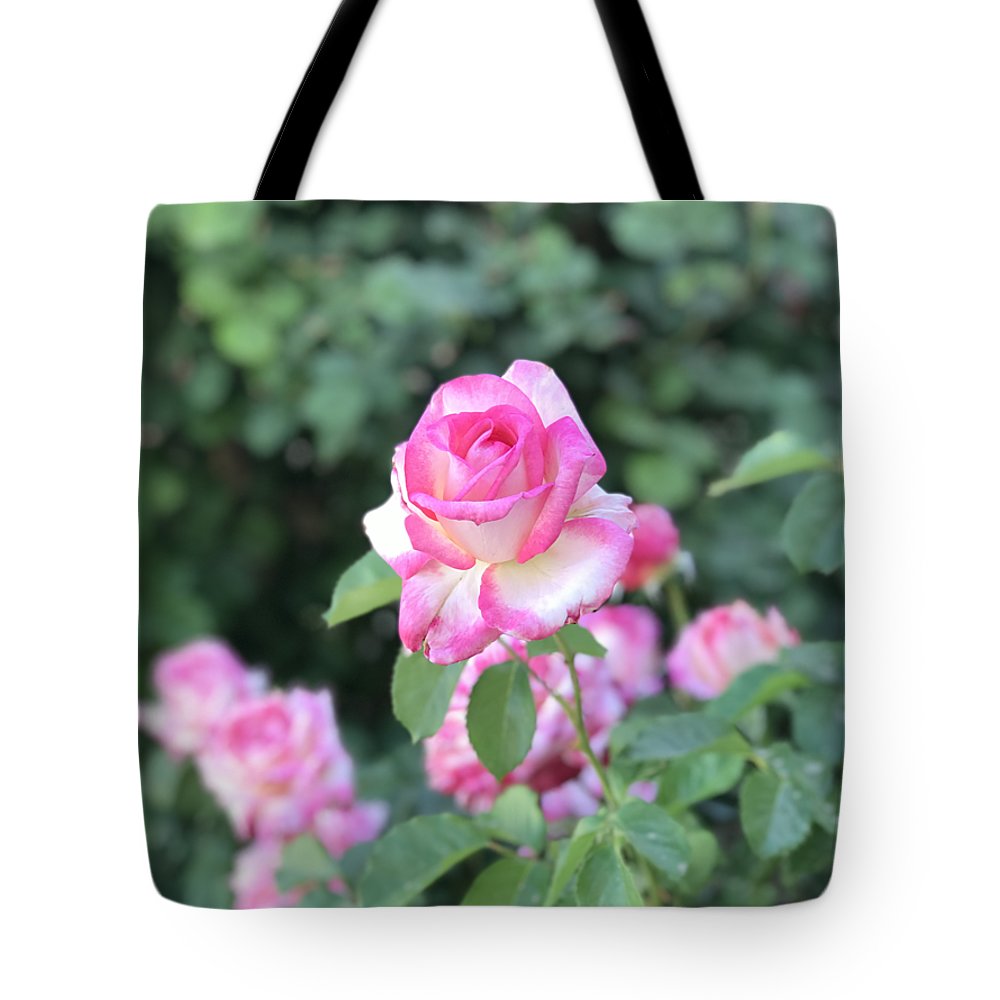 Touch of Pink - Tote Bag