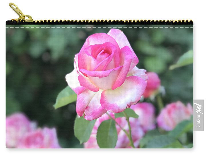 Touch of Pink - Zip Pouch