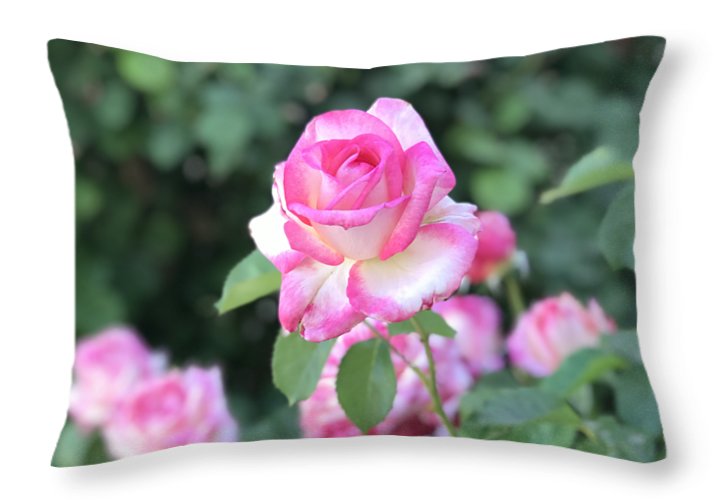 Touch of Pink - Throw Pillow