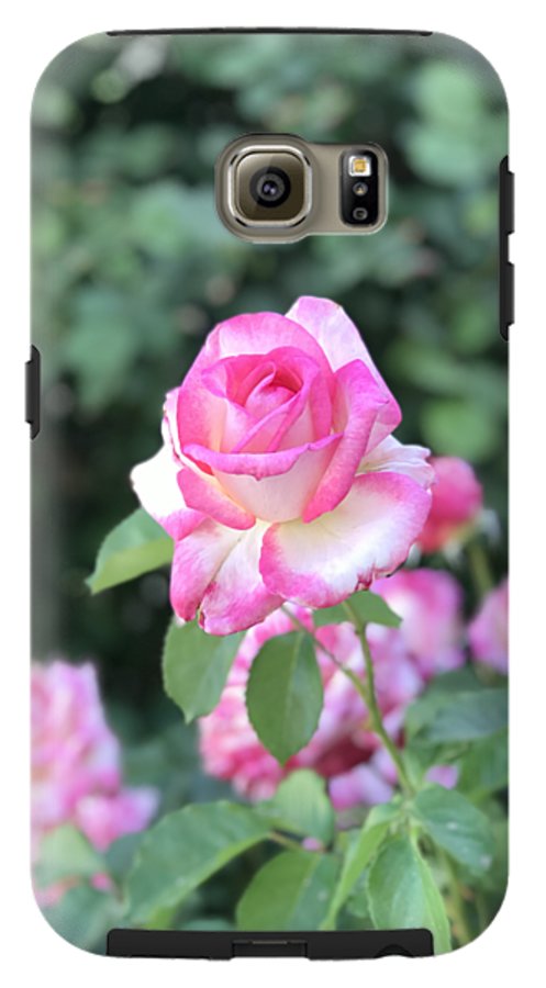 Touch of Pink - Phone Case