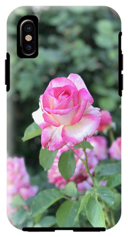 Touch of Pink - Phone Case