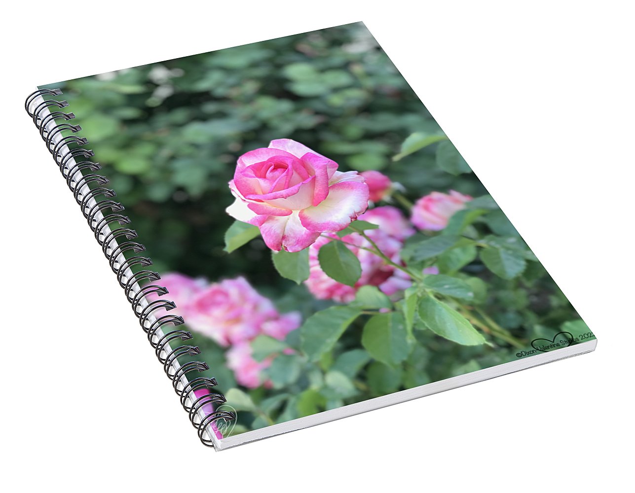 Touch of Pink - Spiral Notebook