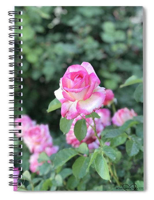 Touch of Pink - Spiral Notebook